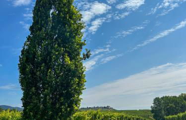 Villa am Weinberg mit Garten großzügig und exklusiv - Foto 14