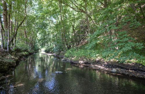 Thalmühle - Foto 22