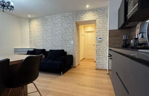 Villa Belle Fleur - Queyras - Appartements confortables avec vue montagne Alpes Française - - Photo 49