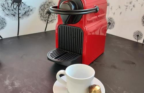 2 LYS Orleans Downtown, free secure parking - Foto 7