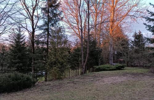 Rykowisko - domki całoroczne nad jeziorem i rzeką - Foto 30