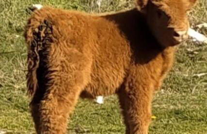 Agriturismo Il Covo del Solengo - Foto 66