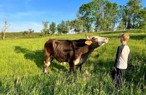 Luxus Ferienhaus Erzgebirge in Alleinlage - Foto 12
