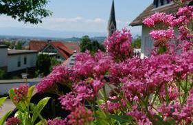 Casa Asensio - Foto 26