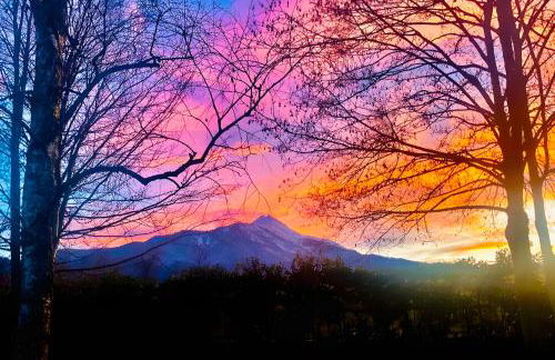 Alpi Liguri - Villa Giulia - Foto 34