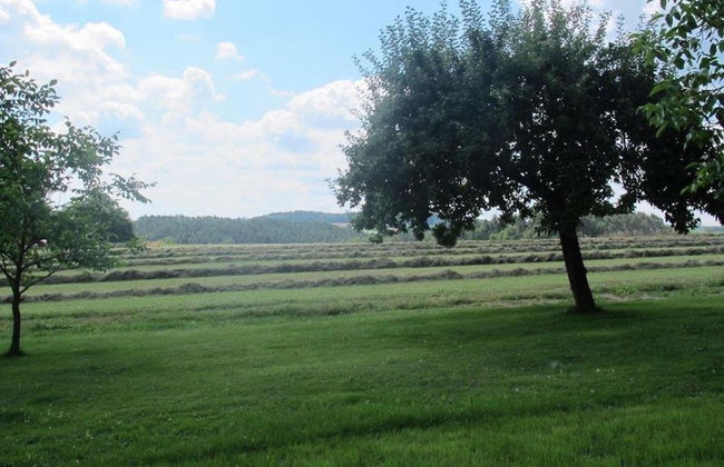 Garden Escape, Kleinwinklarn - Foto 28