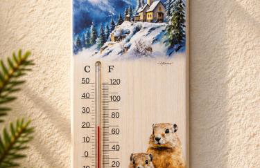 La Marmotte appartement cosy centre Briancon proche Prorel - Foto 33