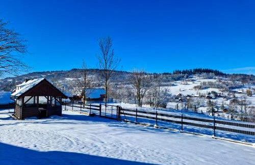 Beskid House Kurów - Foto 39