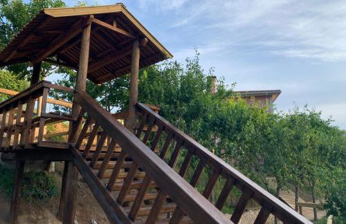 Quinta das Ameixas - Country & Nature - Foto 24