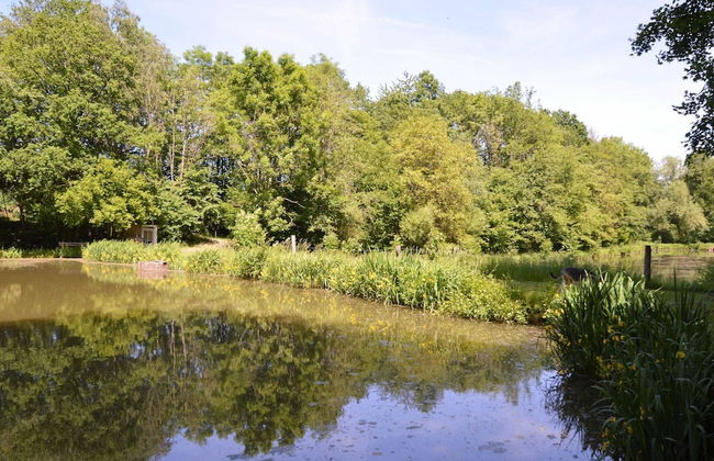 Nature Retreat by the Lakes - Foto 43