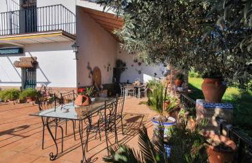 Huerta Carrión, Finca en El Pedroso - Foto 8