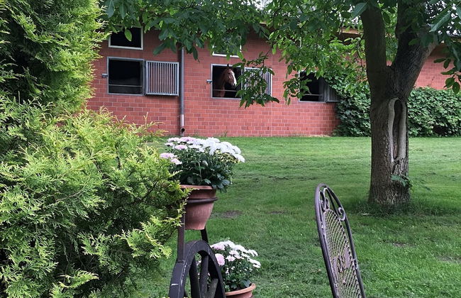 Holiday Home in Kirchdorf With Swimming Pool,terrace, Garden - Foto 47