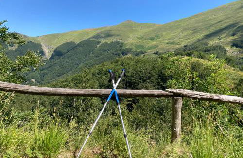 Casa Sperandini - Foto 55