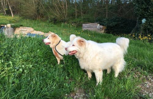 Villa Baronzola - Foto 42