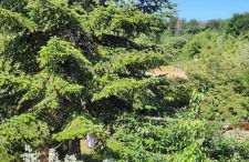 Ferienwohnung An der Karlskuppe - Foto 2