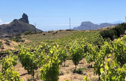 Casa-Finca El Maipéz de Tejeda - Foto 22