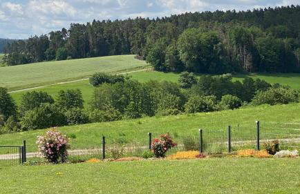 Heim Lisse - Foto 33