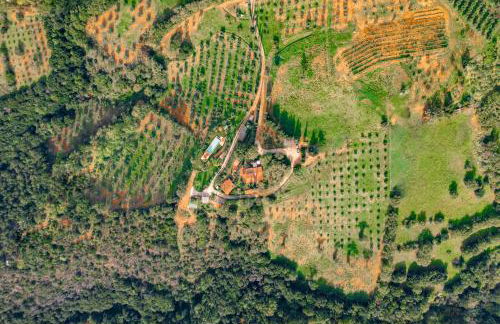 PODERE TORRICELLE 69B Pancole Gr, seaview infinity pool, jacuzzi, sauna, exclusive villa with 2 bedrooms for 4 - If you total 5 or 6 people there is an independent suite in main villa with private ensuite bathroom, kitchenette and garden dining area - Foto 8