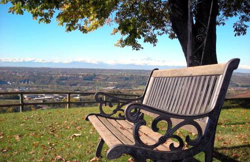 Bricco Rosso - Foto 73