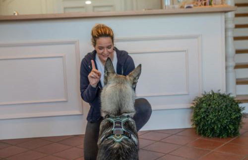 Markt Eins Appartement Stadtblick - Foto 12