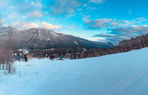 The Skis Knees - Foto 41