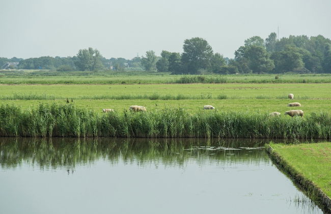 Family Getaway w/ Garden - Photo 34