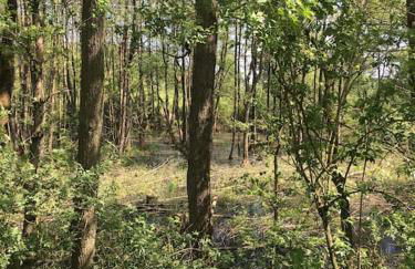 Kleine Backsteinloft - Photo 36