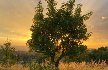 Agriturismo Cà Monduzzi - Foto 11