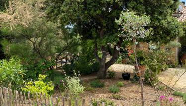 LES SANTOLINES - Studio Retro - Photo 5