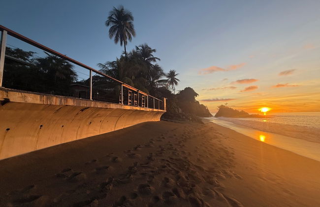 Birdie's Nest - Foto 33