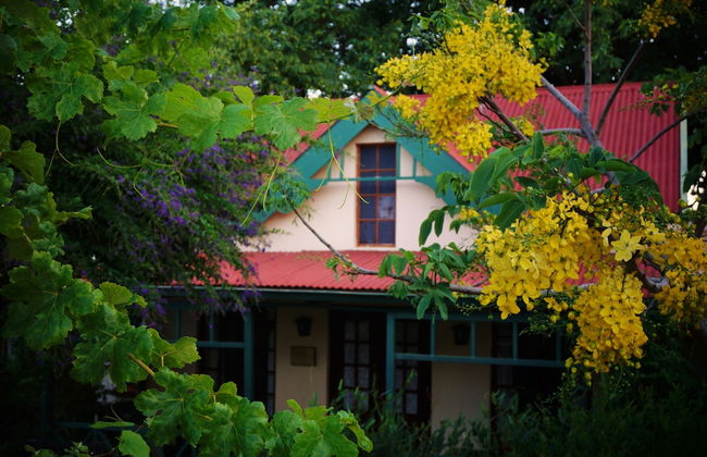 Petal Faire Cottage - Foto 15