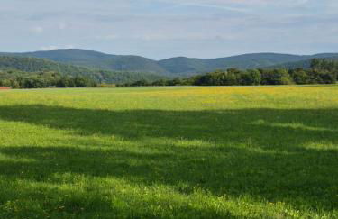 Ferienhaus Ziegler - Foto 20