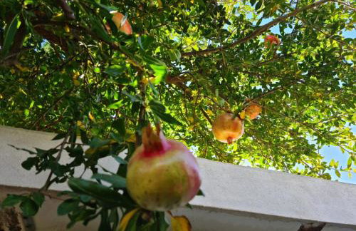 Villa Parador del Silo - Foto 8