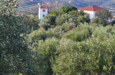 Mani Hill House - Foto 20