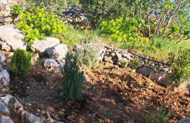 Ηλιοβασίλεμα - Foto 49