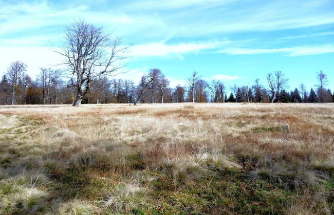 Holiday Apartment Breit - Foto 3