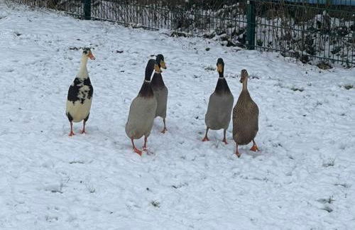 Nice Apartment in Himmelkron - Foto 35