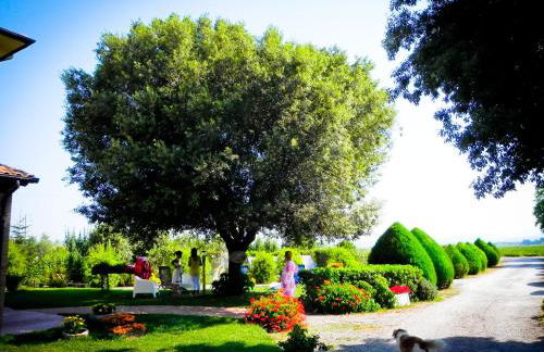 Agriturismo Il Cuscino Nel Pagliaio - Foto 33