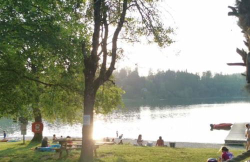 Beau Duplex, au bord du lac Saint-Point - Foto 20