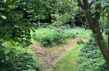 Escape To The Country @ Bron Offa Bach - Foto 24