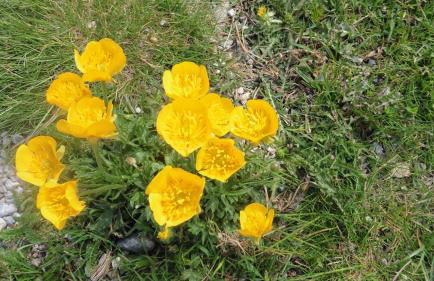 Apartamentos L´Era de Baix - Foto 7