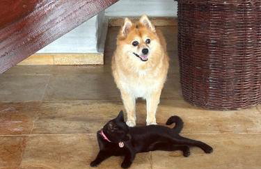 chalet pousada Coisa mais linda - Foto 10