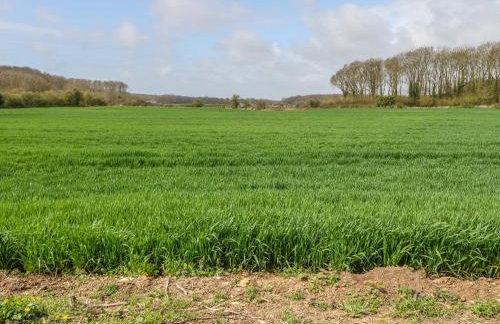 The Old Dairy - Foto 19