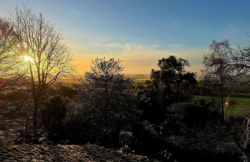 Pooh Corner - Photo 38