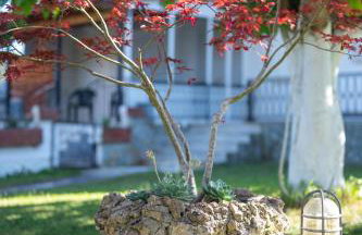 Country House Elaionas - Foto 13