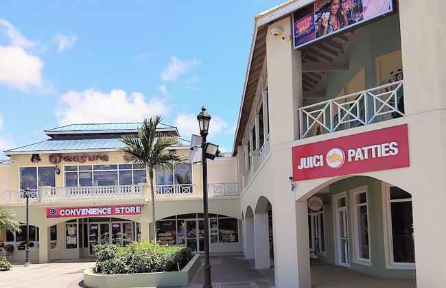 Apartment 379 Hudson Avenue - Foto 24