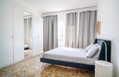 Helianthus - Photo 17