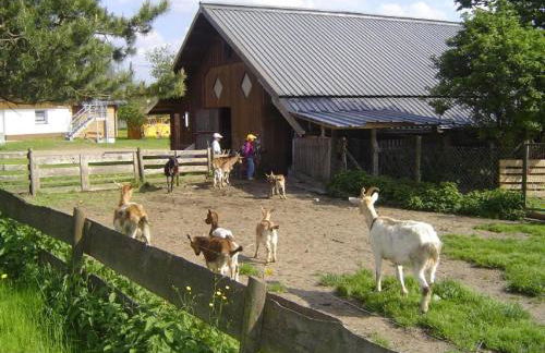 Hüttenwiesenhof Ketterer - Photo 21