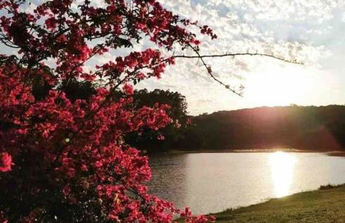 Casa de Campo I Cond Ninho Verde II - Foto 31