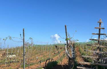 Villa Hacienda Flores - Foto 22